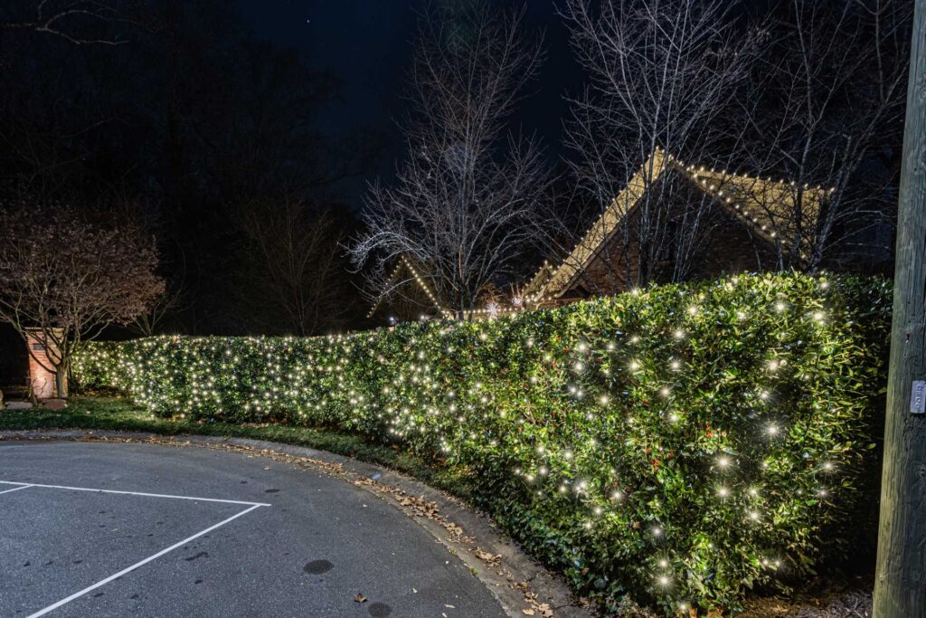 Cobb County Christmas light installer landscape lighting image